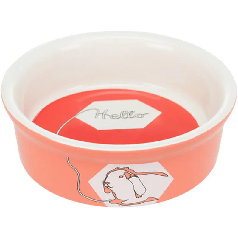 Ceramic Bowl Comic Rabbit
