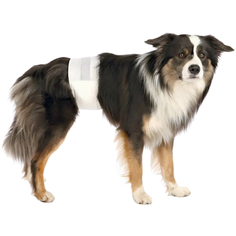 Diapers for Male Dogs Disposable