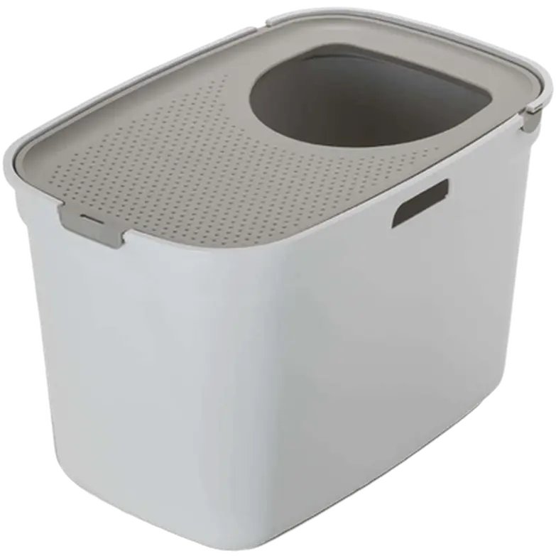 Cat Toilet Leyla