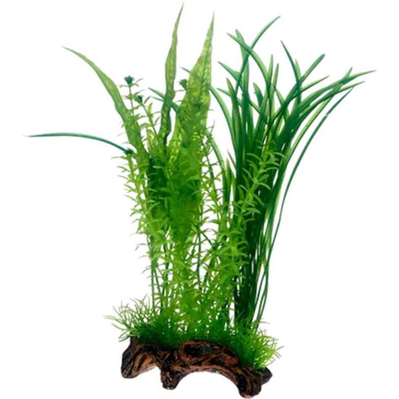 Flora Root 1