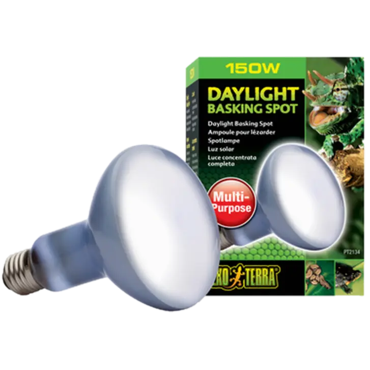 Daylight Basking Spot - Sun Glo
