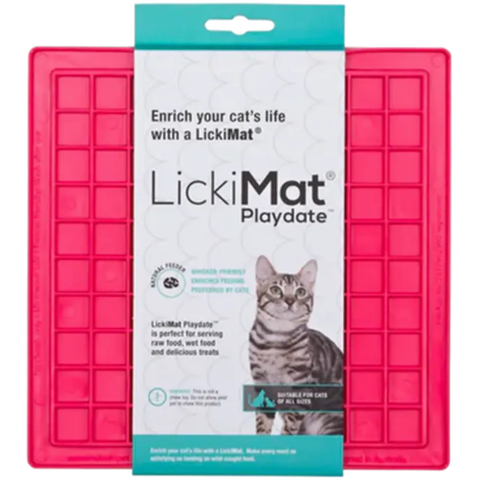 Cat Classic Playdate Rosa
