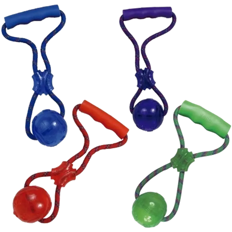 Squeezz Ball with Handle Dog Toy