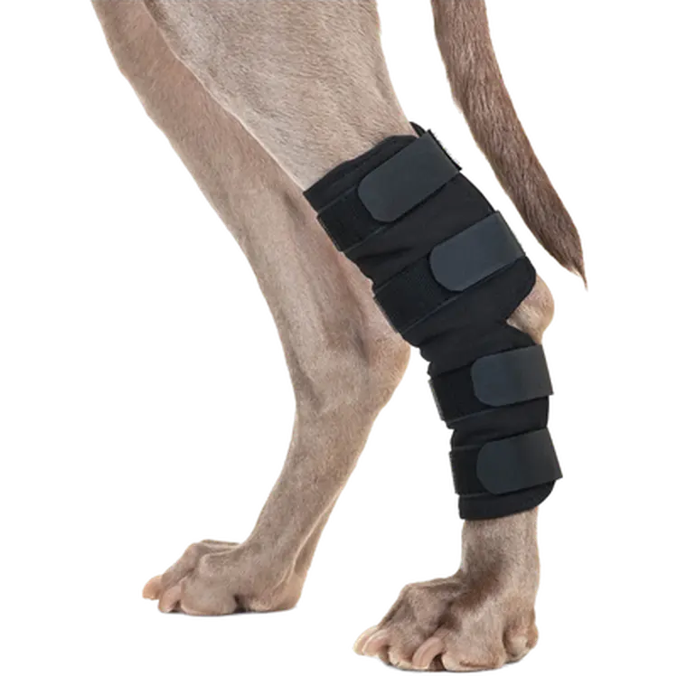 Hasskydd Rehab Hund