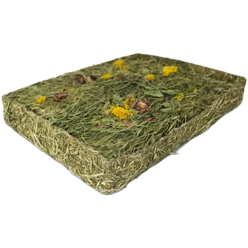 Ängbit Med Blommor