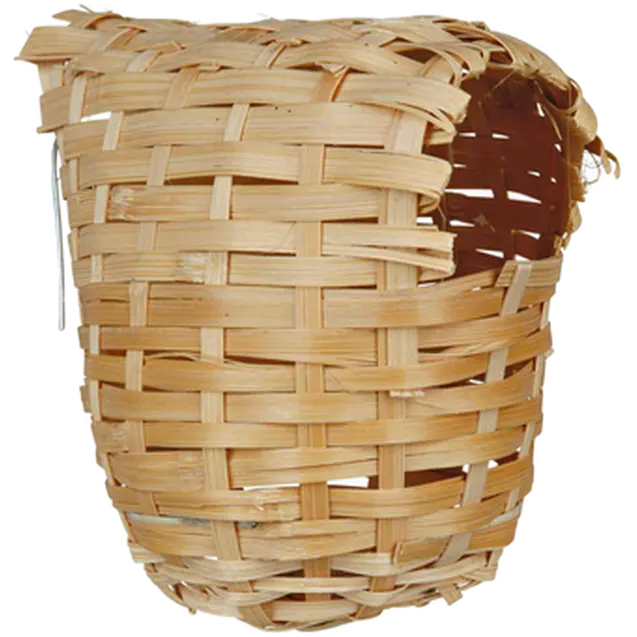Exotic Nest Bamboo