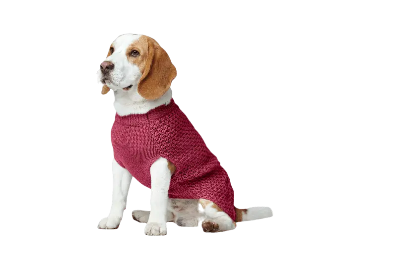 Dog Pullover Malmö Tan - Stickad Hundtröja