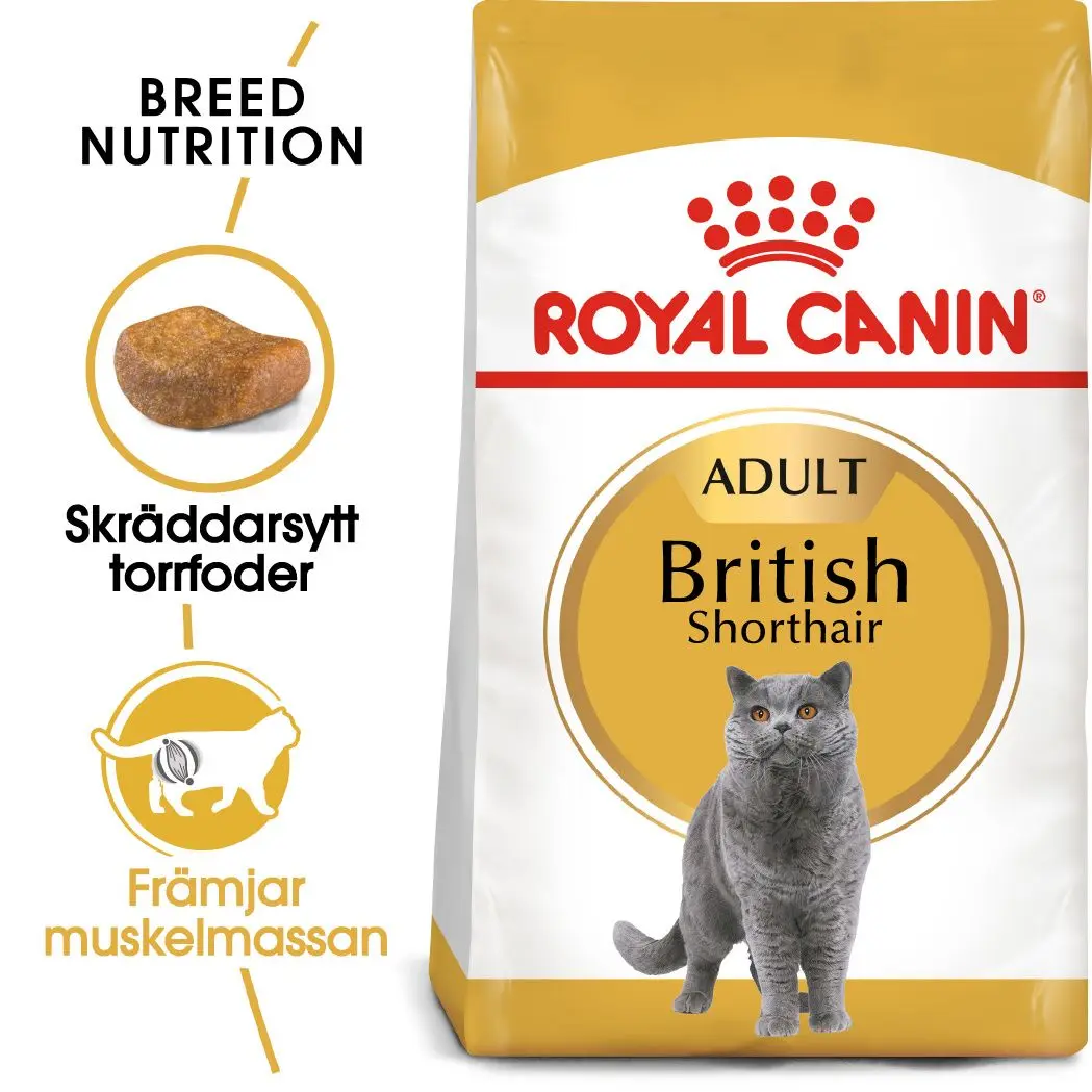 British Shorthair Adult Torrfoder för katt