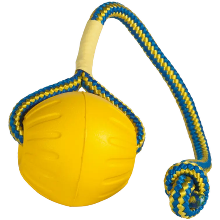 Swing & Fling Durafoam Fetch Ball on a rope