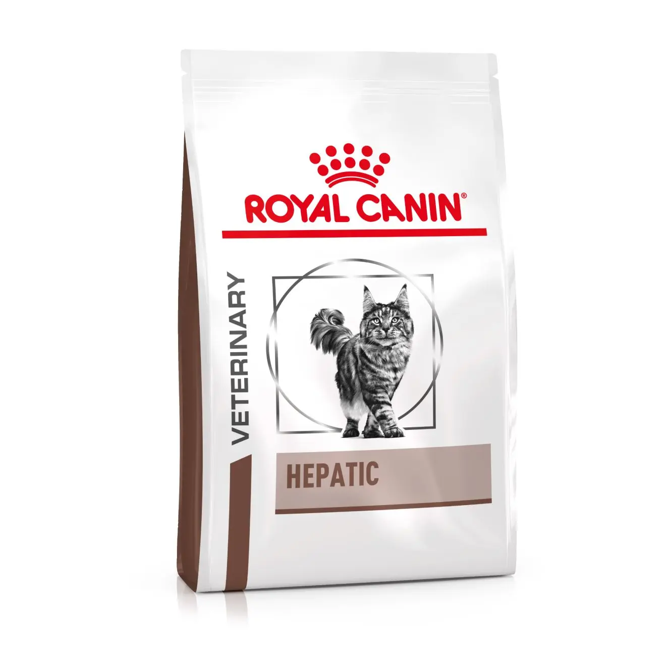 Gastro Intestinal Hepatic torrfoder för katt