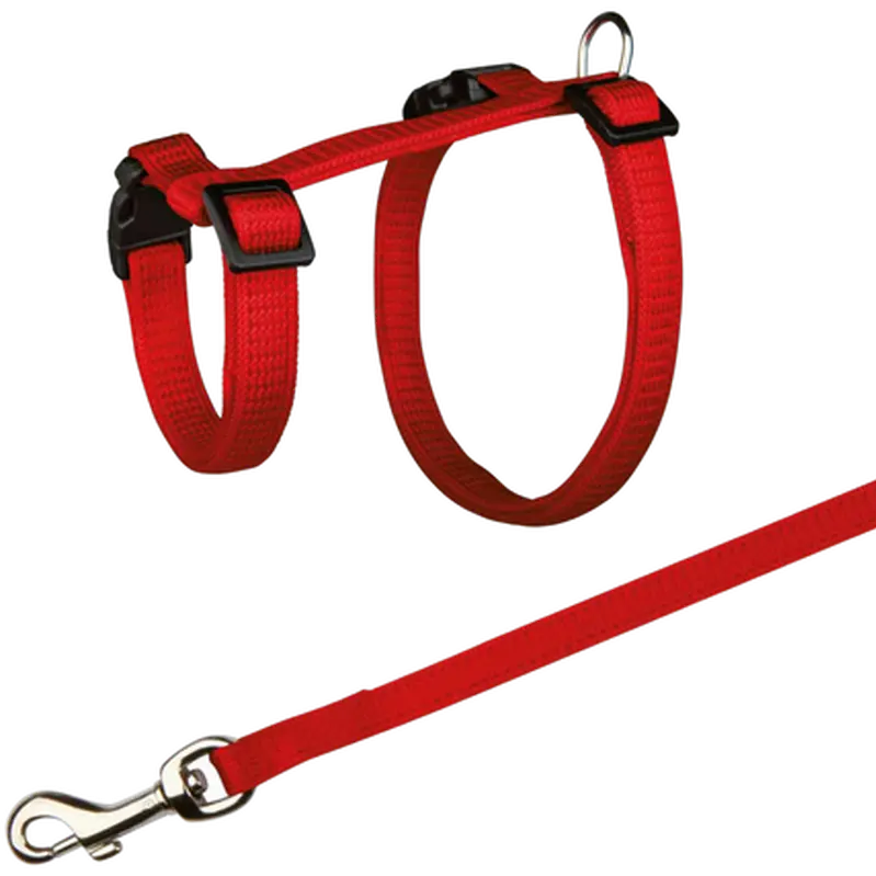Harness & Leash for Rabbit