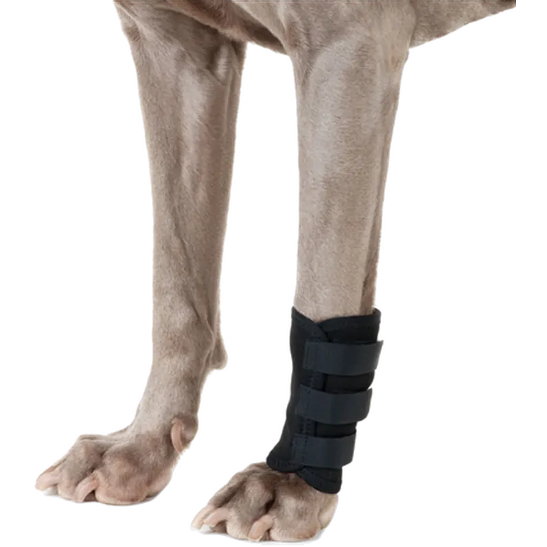 Benskydd Rehab Hund