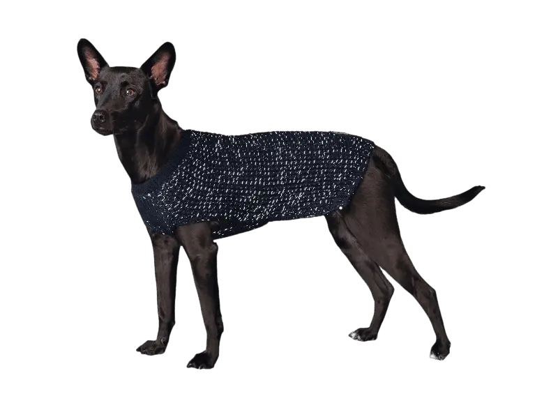 Pullover Finja - Reflekterande Hundtröja Mörkblå