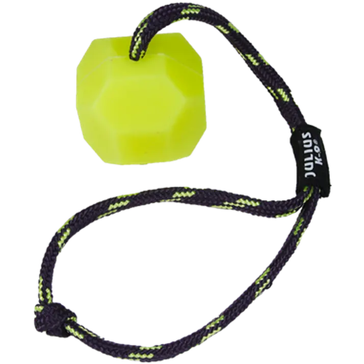 IDC Neon Fluorescent Ball Hard with Handle Dog Toy