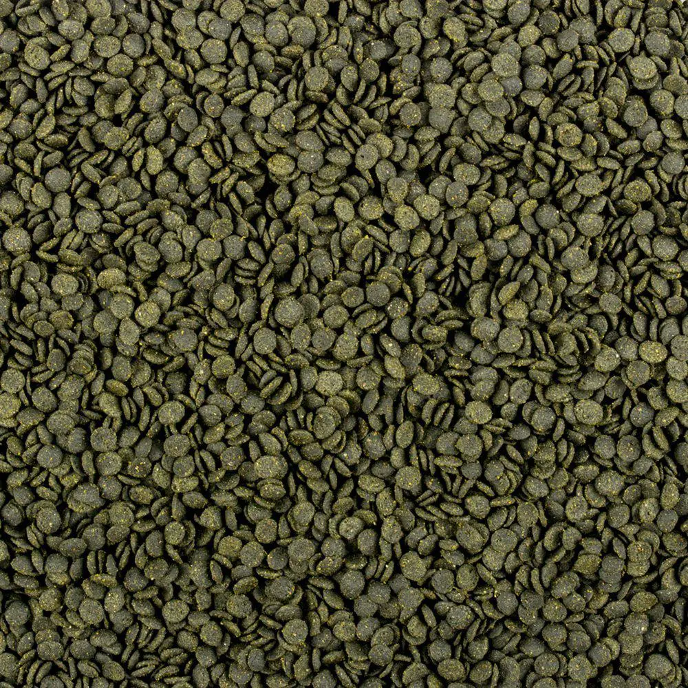 Soft Line Africa Herbivore