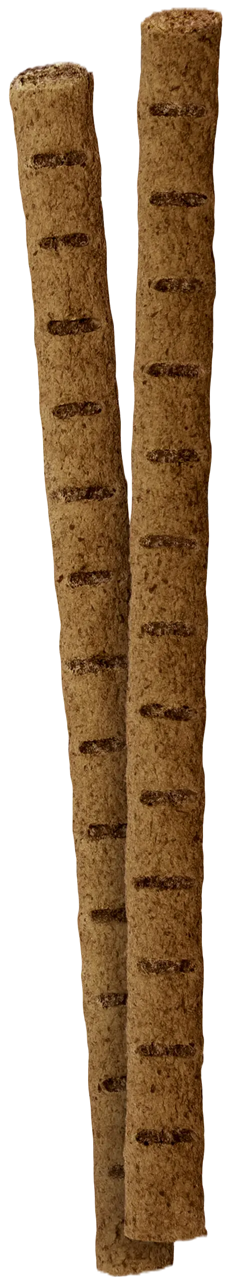 Insekt-Stick