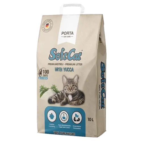 Soft Cat Yucca