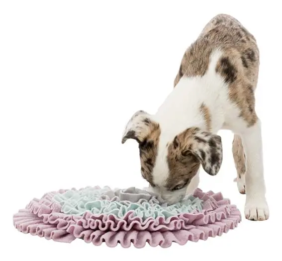 Junior "Sniffing carpet", Nivå 1