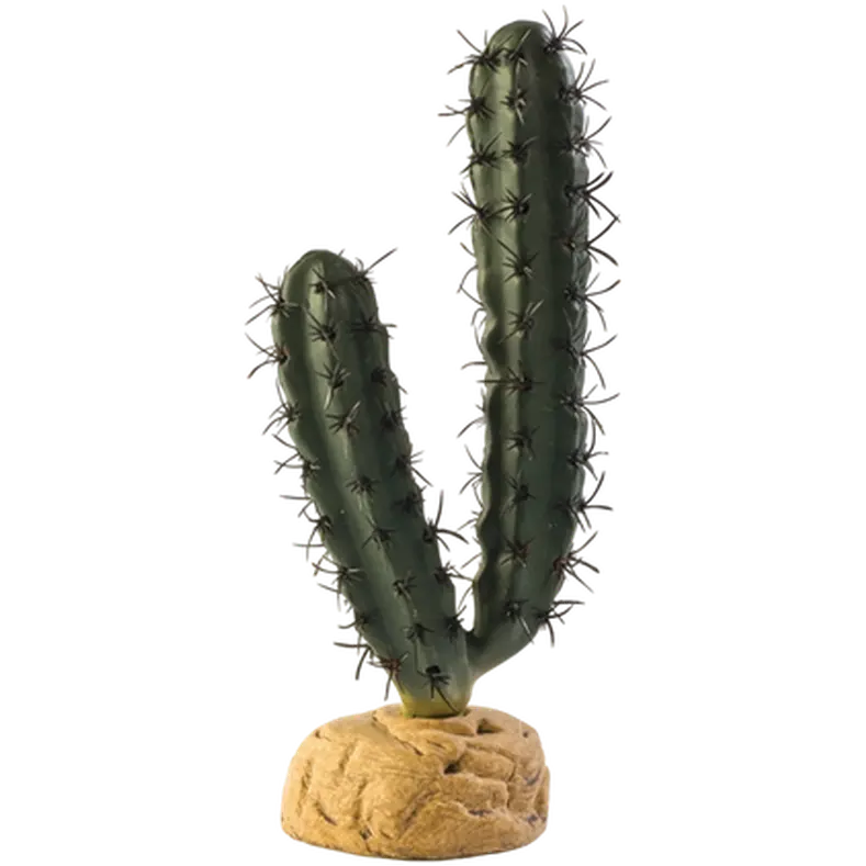 Finger Cactus - Desert Ground Plants