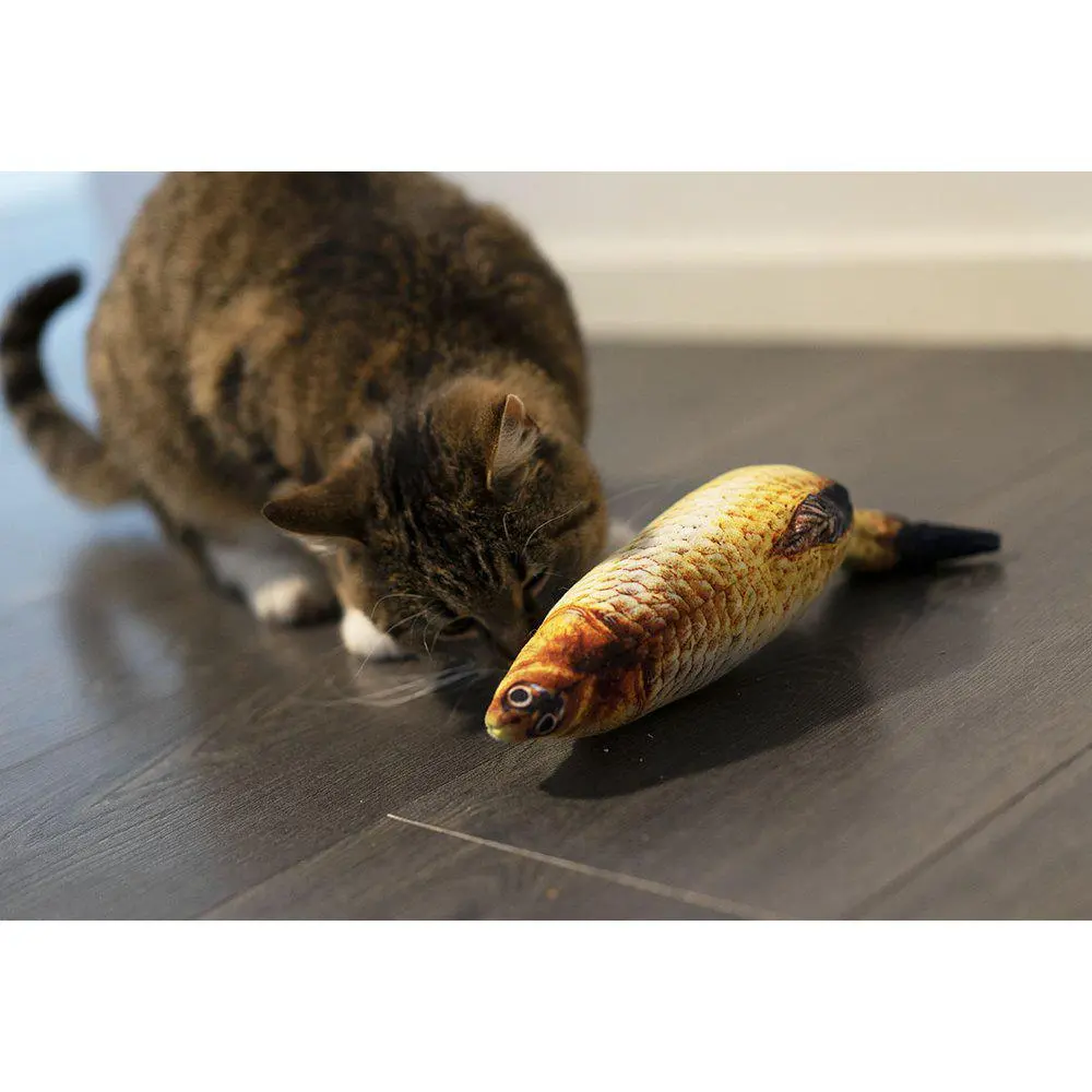 Sprattlande Fisk Mört