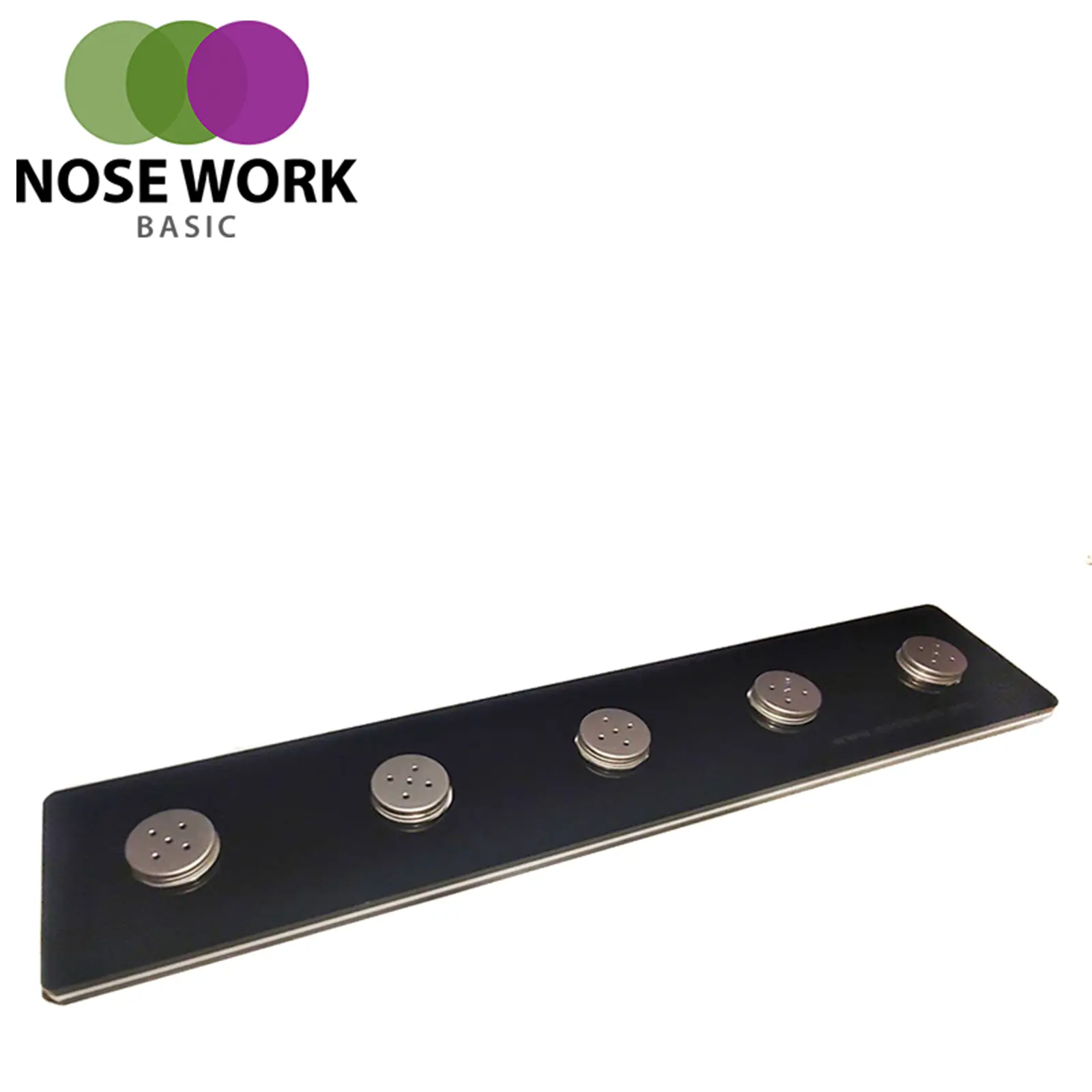 Nose Work Plattform Basic