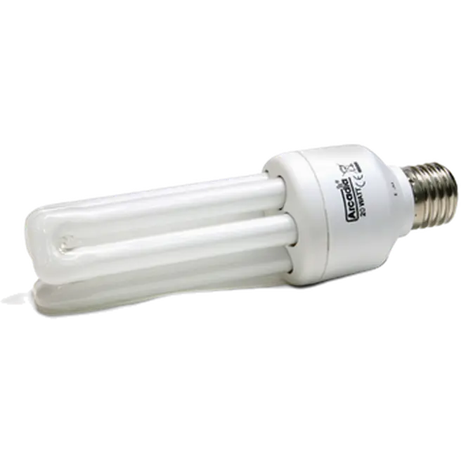 Compact Flourescent Bird Lamp