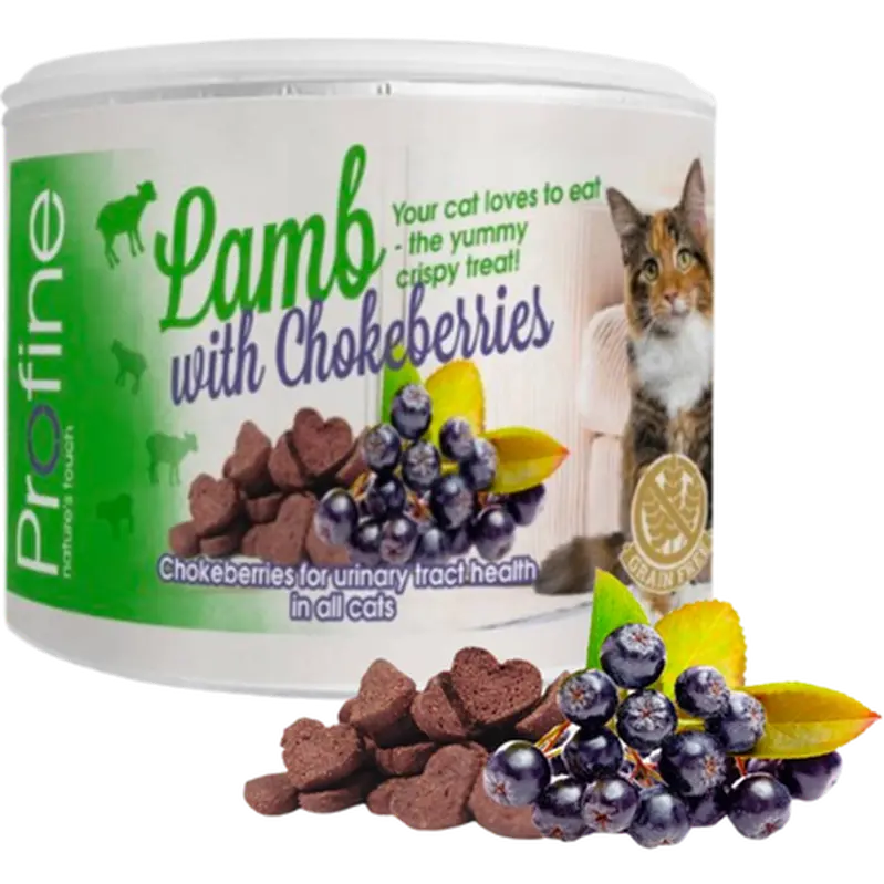 Cat Crunchy Snack Lamb & Chokeberries Berry