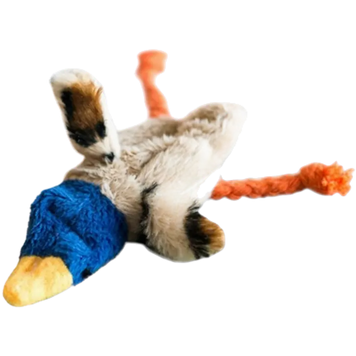 Skinny Duck