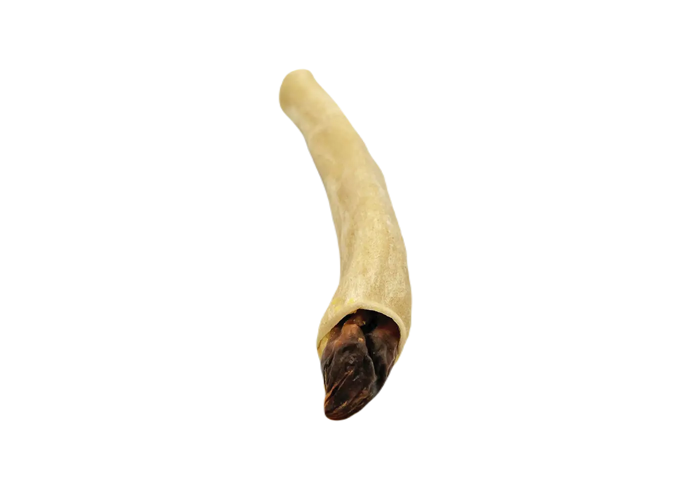 Moose Bullet