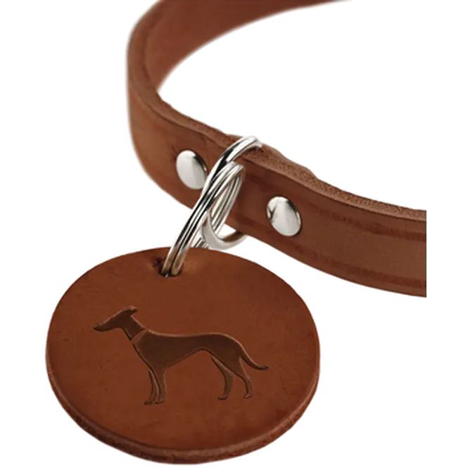Hundhalsband Aalborg Svart