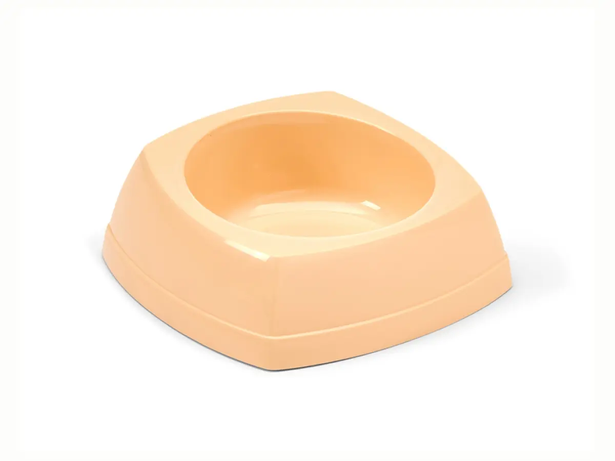 Plastic Bowl Nibble