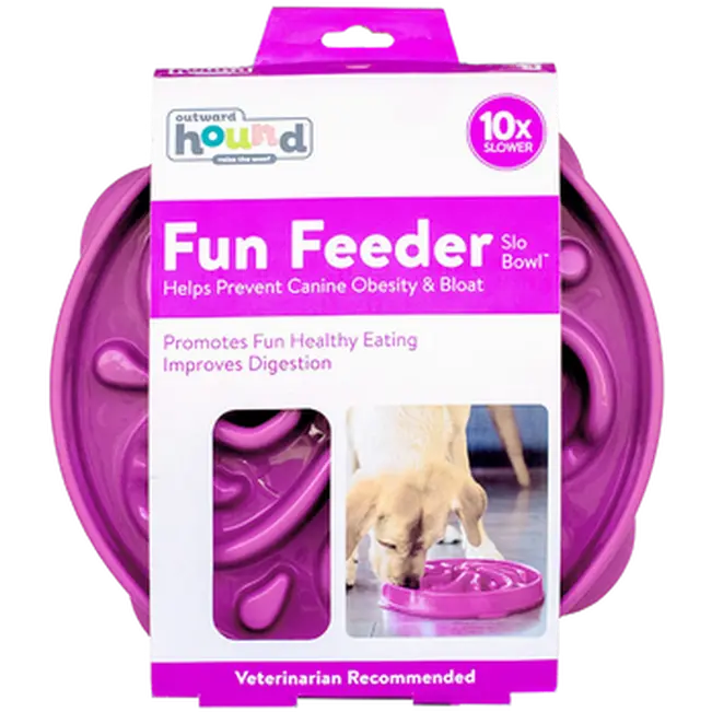 Fun Feeder Slo-Bowl Purple