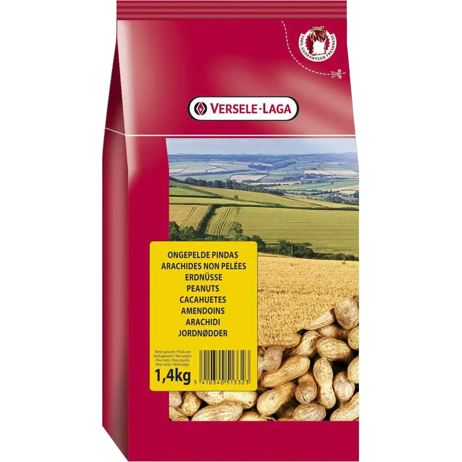 Peanut (Jordnöt)