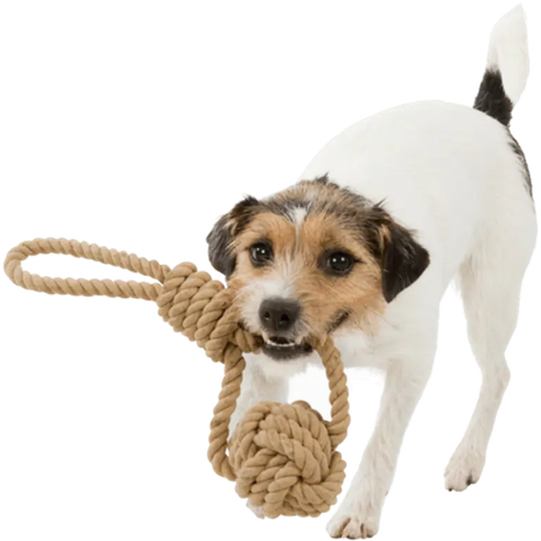 BE NORDIC Playing Rope with Woven-in Ball