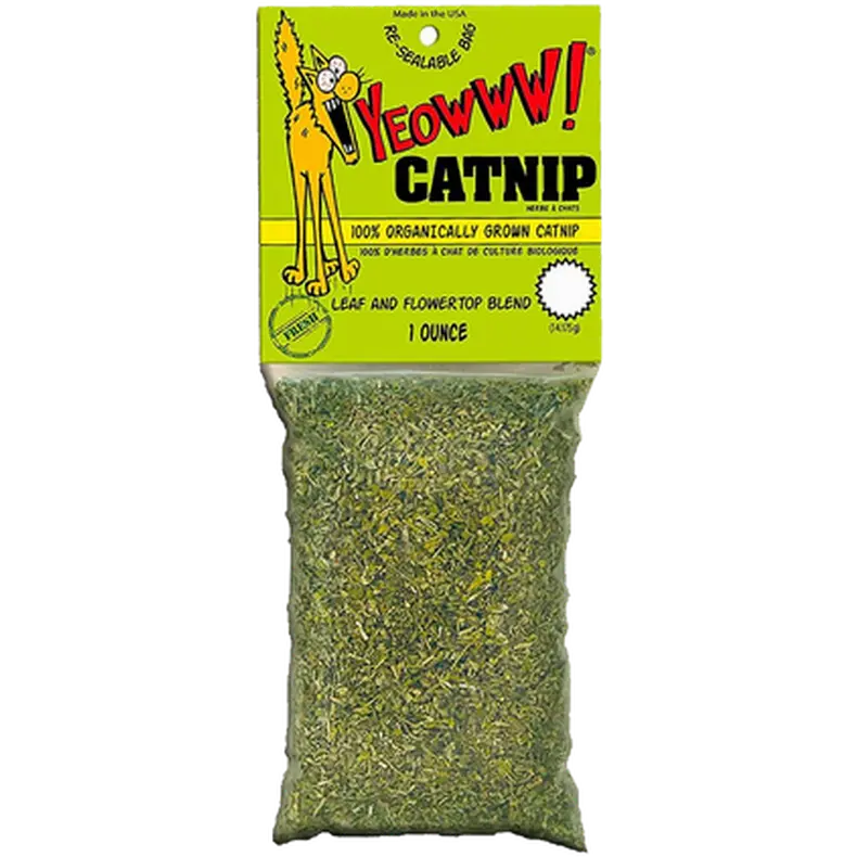 Catnip Organic Catnip Mini