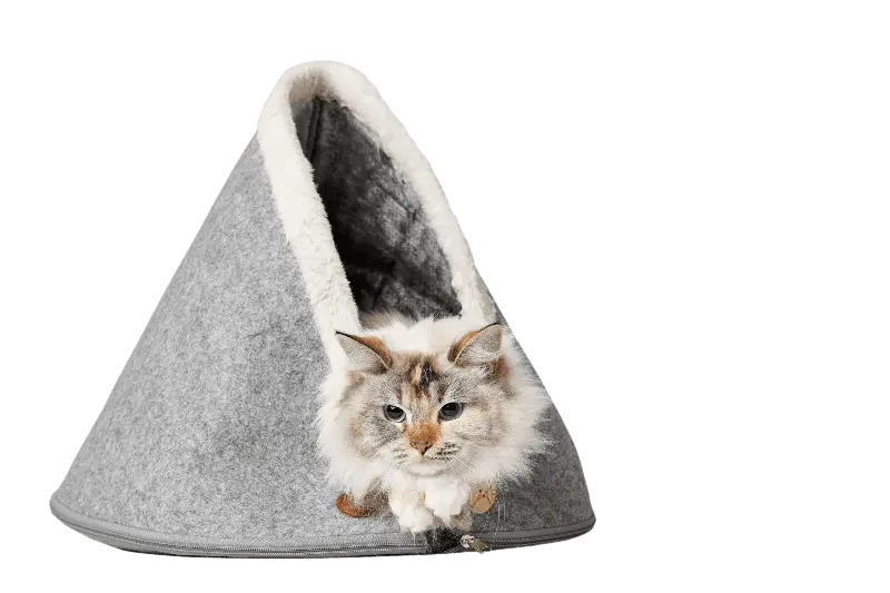 Cat Cave Skive