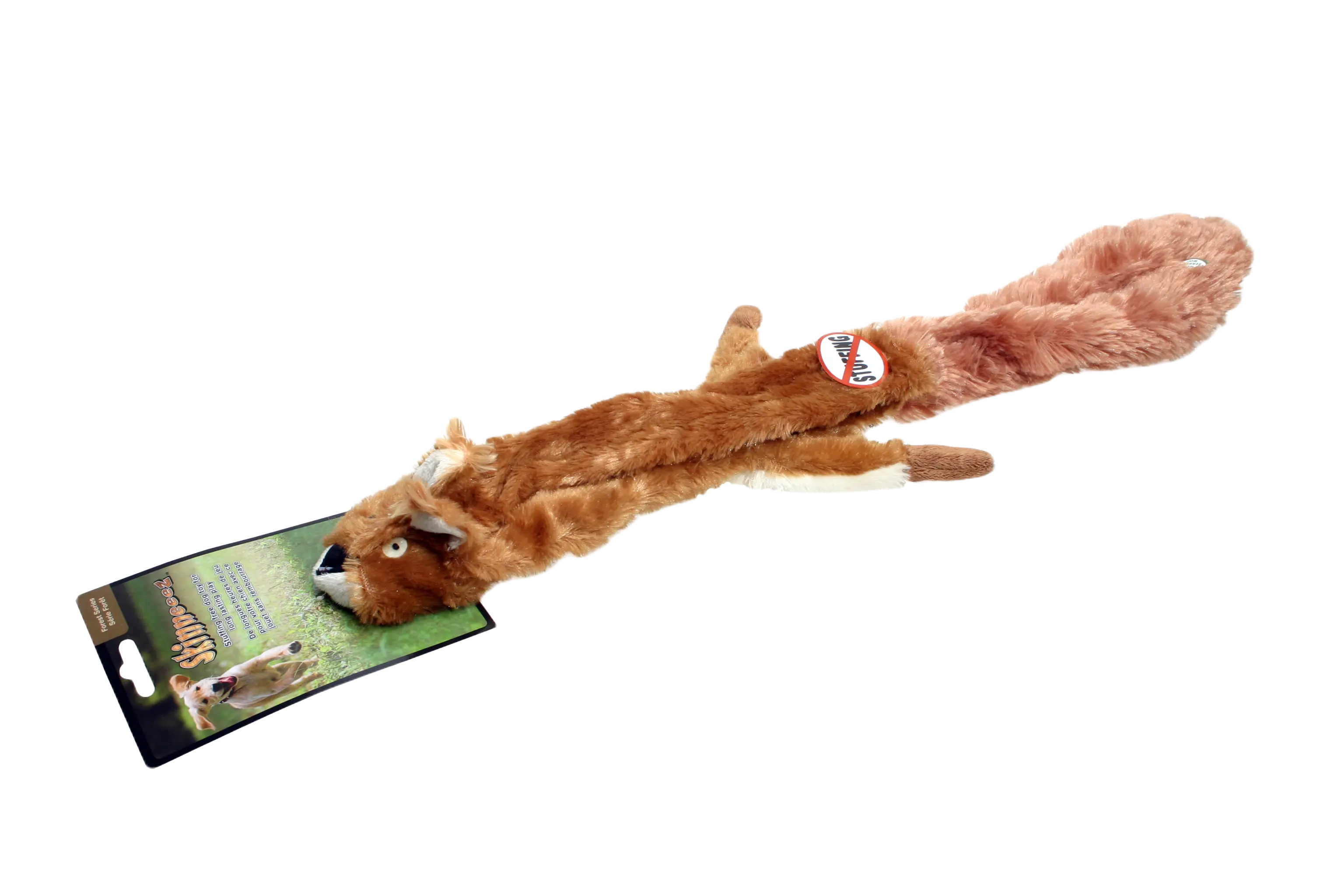 Ekorre
