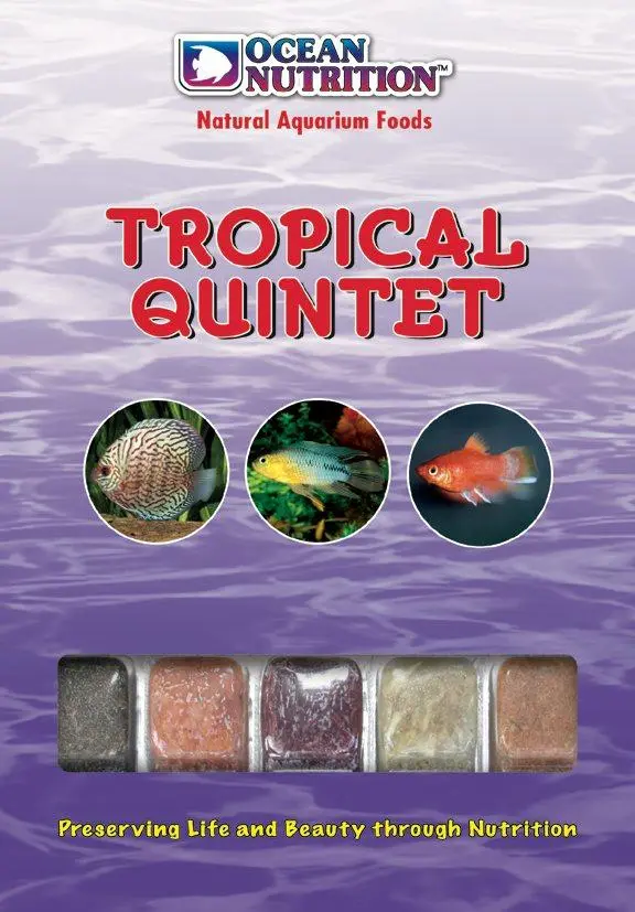 Frozen Tropical Quintet