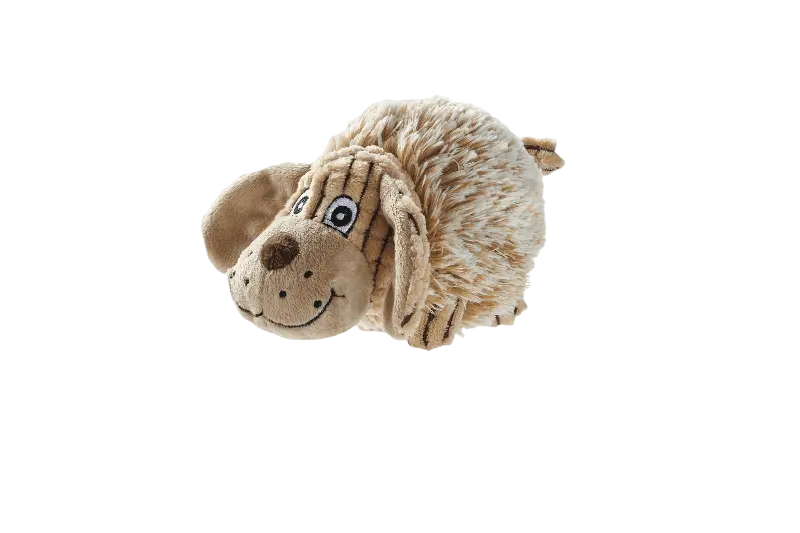 Toy Dog Pori Dog