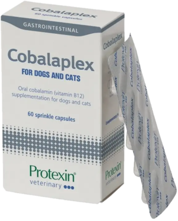 Cobalaplex för hundar och katter