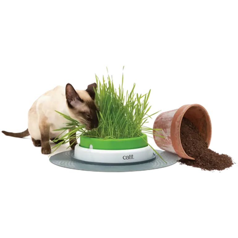 Senses 2.0 Grass Planter