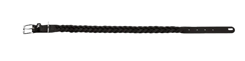 Hundhalsband Solid Education Special Svart