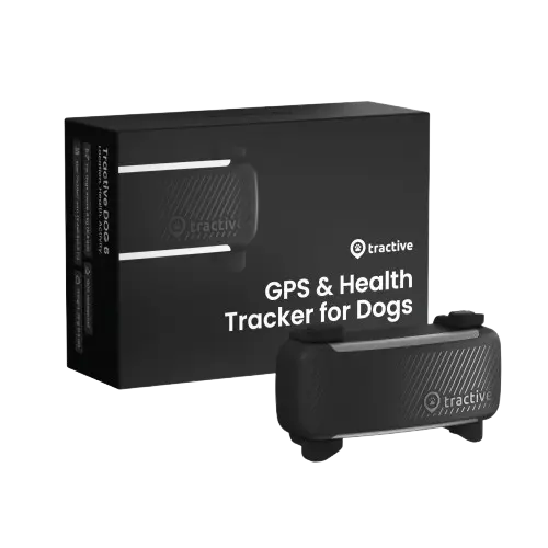 GPS Tracker för Hund Dog 6 - Svart