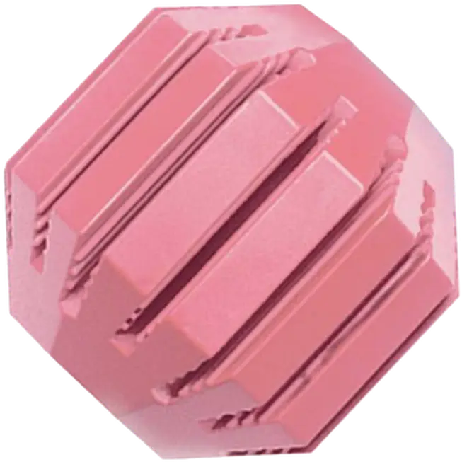 Puppy Activity Ball Puppy Dog Toy