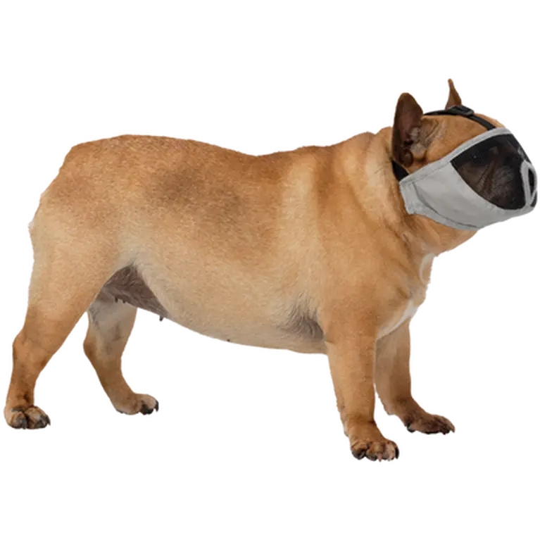 Muzzle for short-nosed breeds polyester