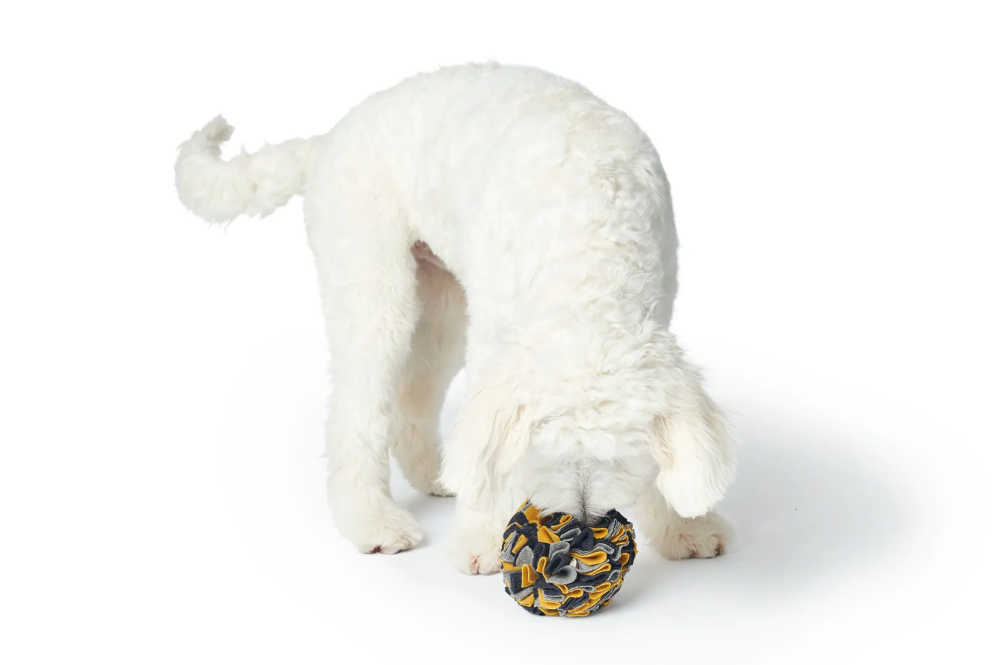 Dog Toy Sniffle Ball Eiby Polyester
