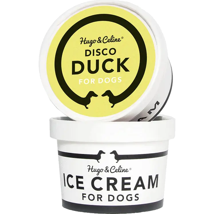 Ice Cream Disco Duck
