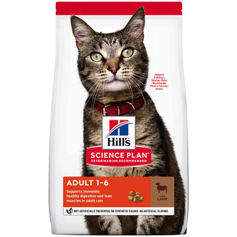 Adult Optimal Care Lamb - Dry Cat Food