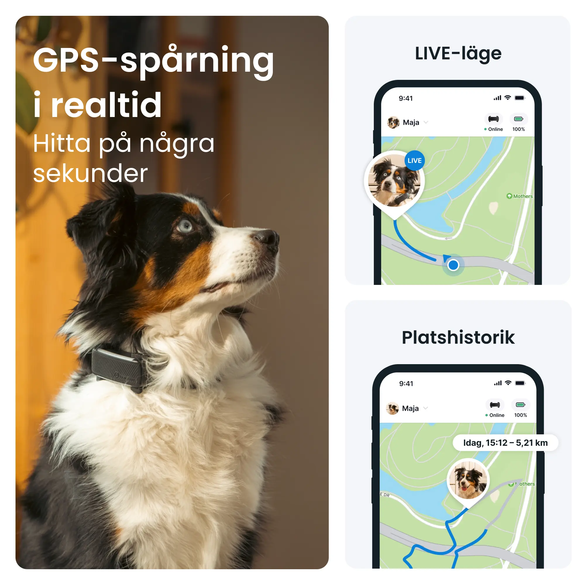 GPS Tracker för Hund Dog 6 - Svart