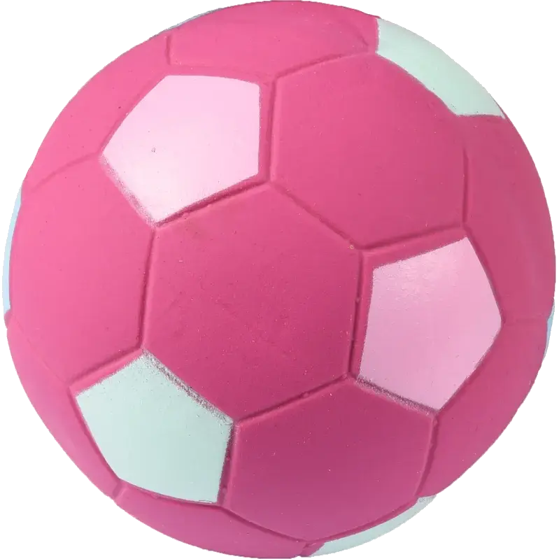 Dog Toy Latex Football Display